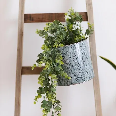 Casa Oceano-ave Do Mar شقة Raposeira (Faro)